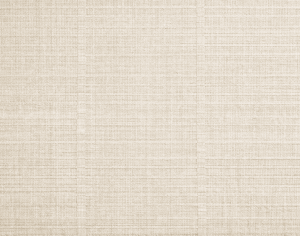 ModernModern Rug