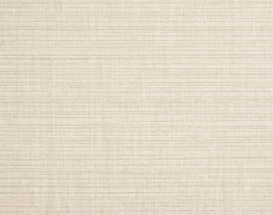 ModernModern Rug