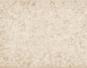 ModernModern Rug