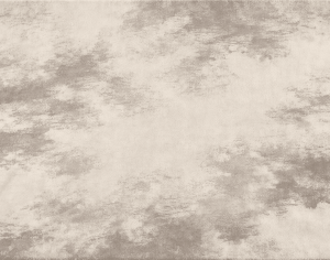 ModernModern Rug
