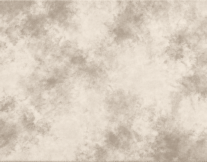 ModernModern Rug