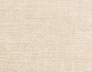 ModernModern Rug