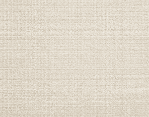 ModernModern Rug