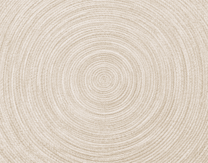 ModernModern Rug