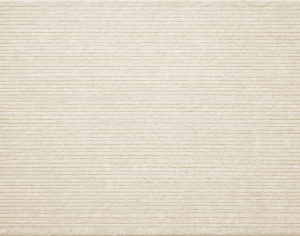 ModernModern Rug