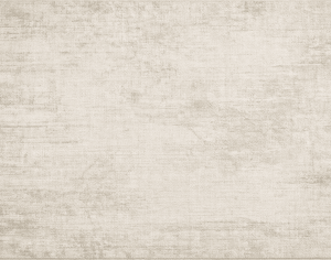 ModernModern Rug