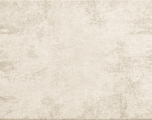 ModernModern Rug