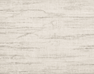 ModernModern Rug
