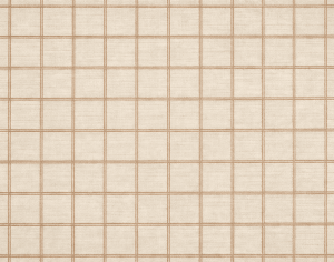 ModernModern Rug