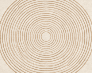 ModernModern Rug