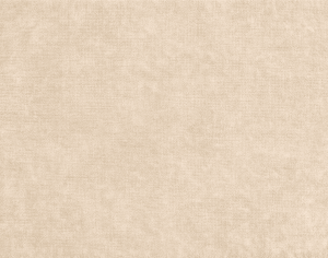 ModernModern Rug