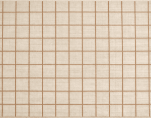 ModernModern Rug