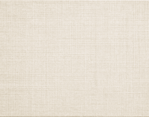 ModernModern Rug