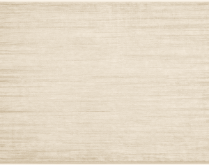 ModernModern Rug