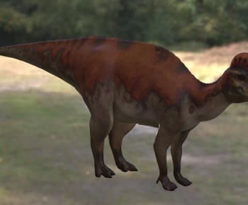 Modern Other Animals-ID:537008053
