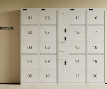 Modern Public Cabinet/lock Cabinet-ID:300911902