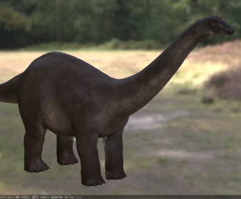 Modern Other Animals-ID:100901146