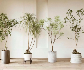 Modern Ground Green Plant Potted Plants-ID:189759741