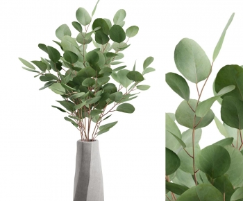 Modern Aquatic Green Plant-ID:154609923