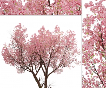 Modern Tree-ID:858209121