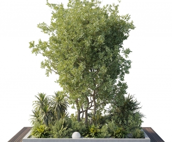 Modern Plant Pile-ID:405080352