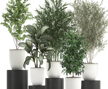 Modern Ground Green Plant Potted Plants-ID:722619065