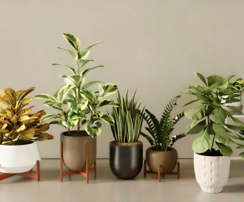 Modern Potted Green Plant-ID:982945926