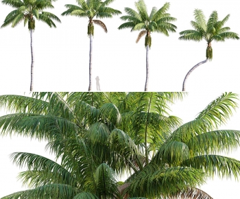 Modern Tree-ID:147151959
