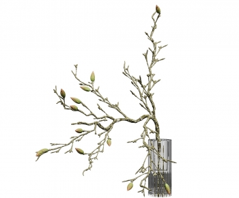 Modern Aquatic Green Plant-ID:577198981