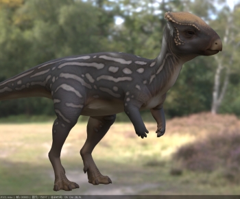 Modern Other Animals-ID:693448078