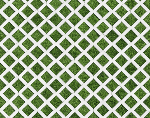 ModernPavement