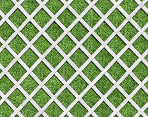 ModernPavement