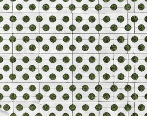 ModernPavement