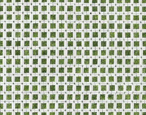 ModernPavement