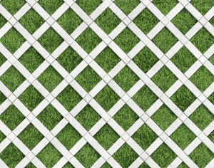 ModernPavement
