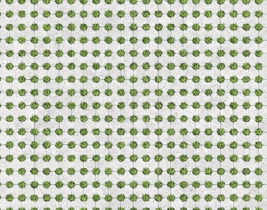 ModernPavement