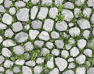 ModernPavement