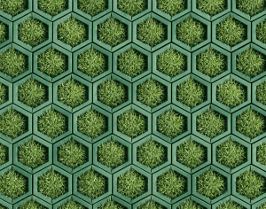 ModernPavement