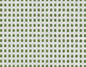 ModernPavement