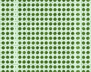 ModernPavement