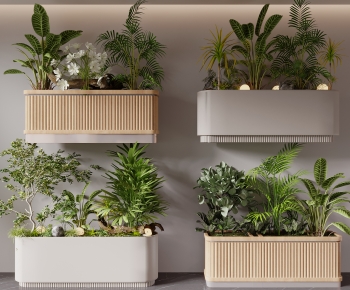 Modern Flower Bed, Flower Bowl, Flower Box-ID:280467996
