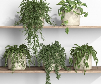 Modern Potted Green Plant-ID:220931059