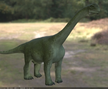 Modern Other Animals-ID:456634042