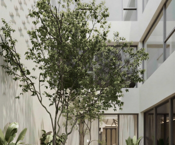 Modern Courtyard/landscape-ID:860132936