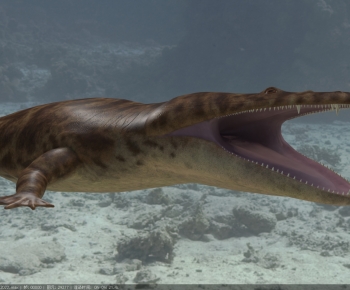 Modern Aquatic Animals-ID:828250895