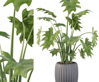 Modern Potted Green Plant-ID:480731015