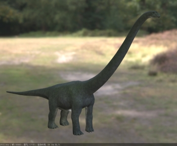 Modern Mammal-ID:517000911