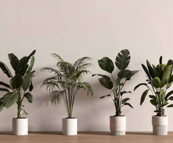Modern Ground Green Plant Potted Plants-ID:484602931