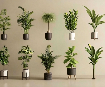 Modern Ground Green Plant Potted Plants-ID:115693099