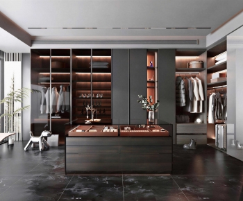 Modern Clothes Storage Area-ID:762727029